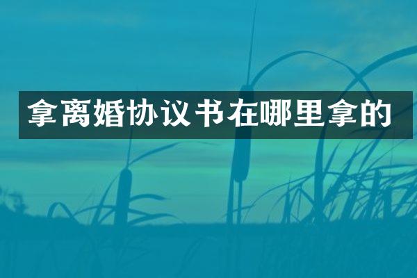 拿离婚协议书在哪里拿的