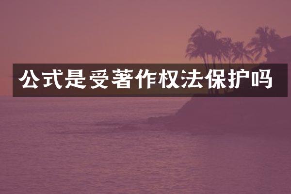 公式是受著作权法保护吗