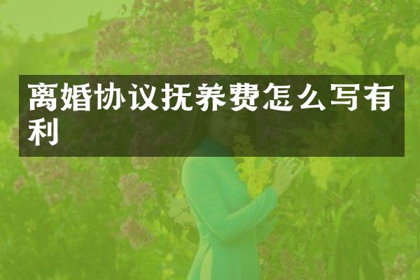 离婚协议抚养费怎么写有利