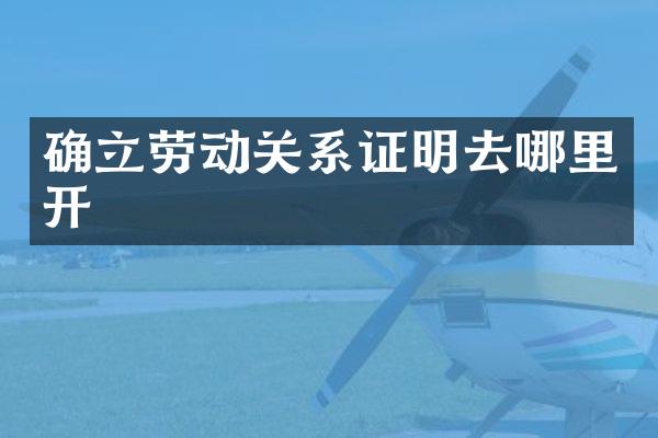 确立劳动关系证明去哪里开