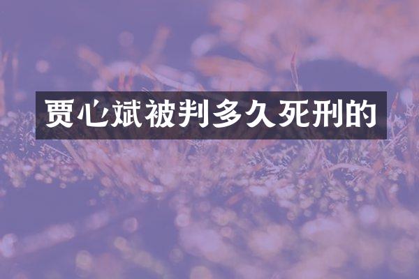 贾心斌被判多久死刑的