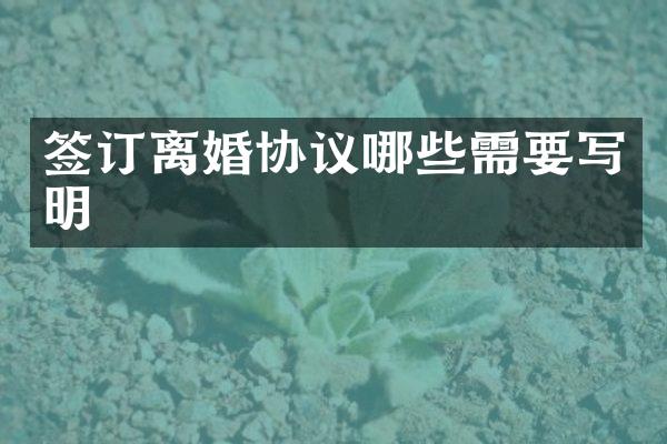 签订离婚协议哪些需要写明