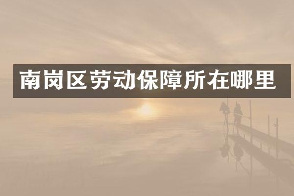 南岗区劳动保障所在哪里