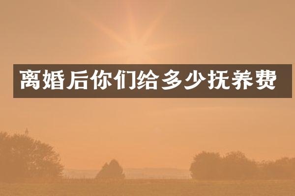 离婚后你们给多少抚养费