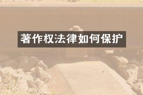 著作权法律如何保护