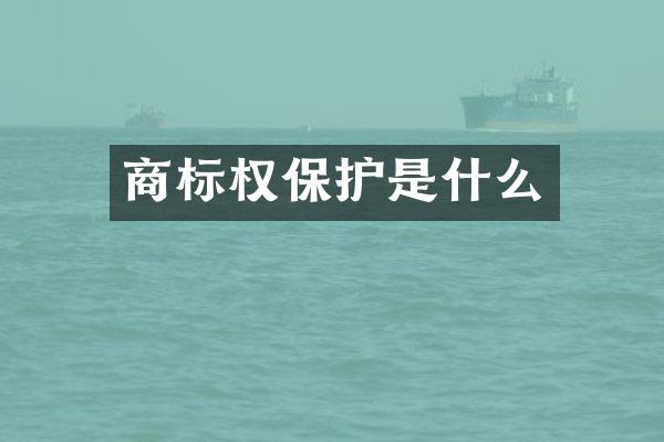 商标权保护是什么