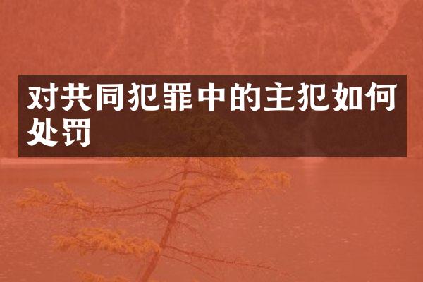 对共同犯罪中的如何处罚