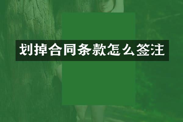 划掉合同条款怎么签注