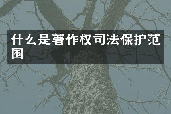 什么是著作权司法保护范围