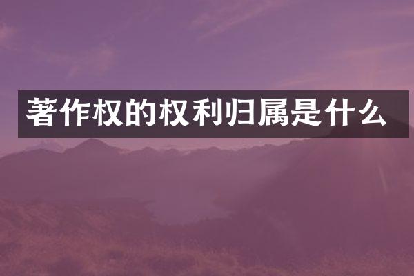 著作权的权利归属是什么