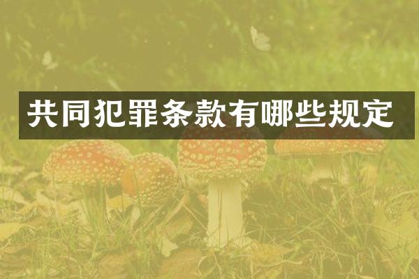 共同犯罪条款有哪些规定