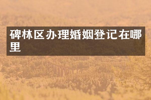 碑林区办理婚姻登记在哪里