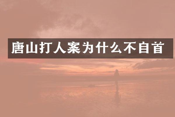 唐山打人案为什么不自首