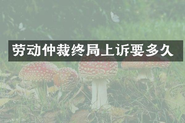 劳动仲裁终局上诉要多久