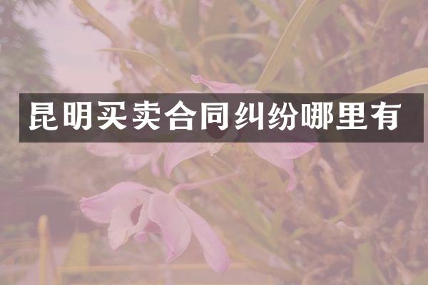 昆明买卖合同纠纷哪里有