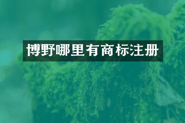 博野哪里有商标注册