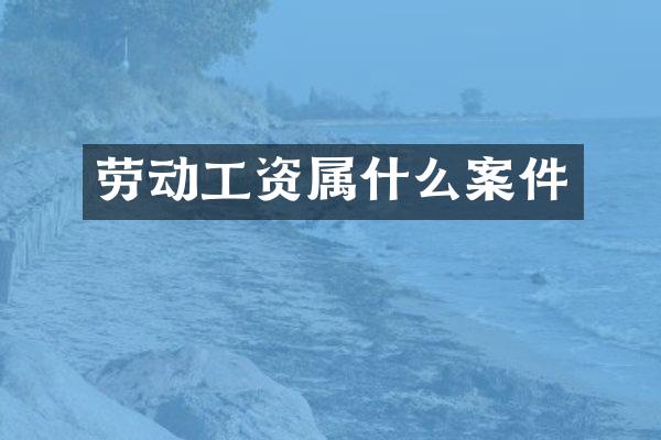 劳动工资案件