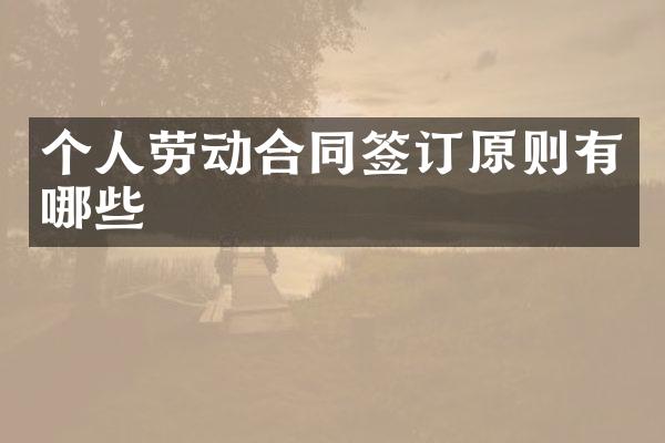 个人劳动合同签订原则有哪些