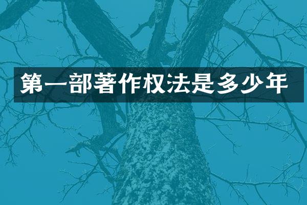 第一部著作权法是多少年