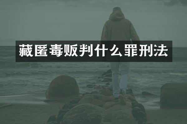 藏匿判什么罪刑法