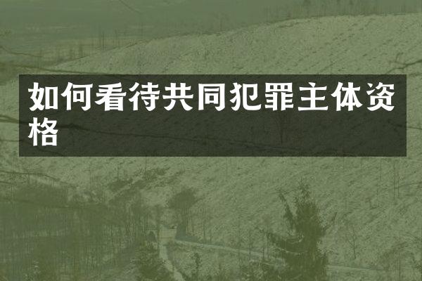 如何看待共同犯罪主体资格