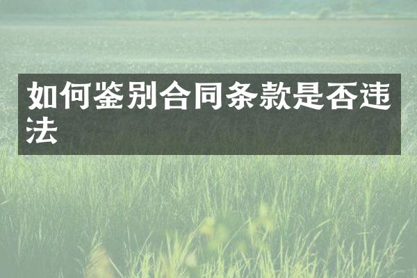 如何鉴别合同条款是否违法