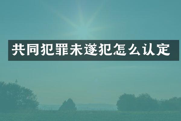 共同犯罪未遂犯怎么认定
