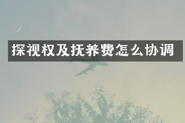 探视权及抚养费怎么协调
