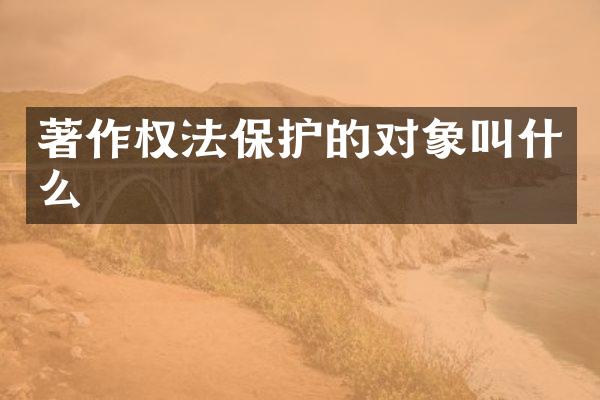 著作权法保护的对象叫什么