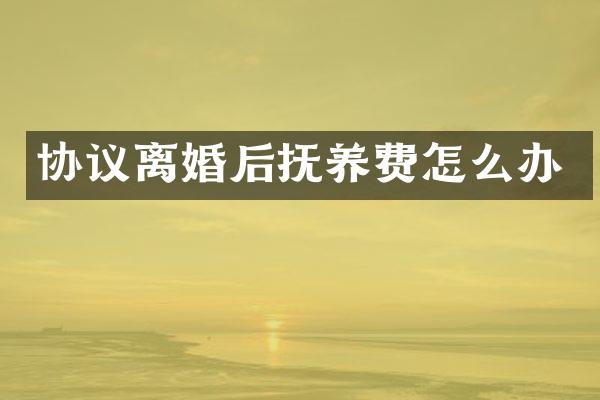 协议离婚后抚养费怎么办