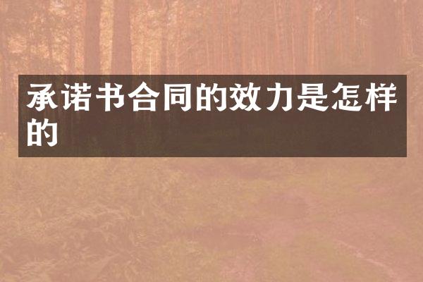 承诺书合同的效力是怎样的
