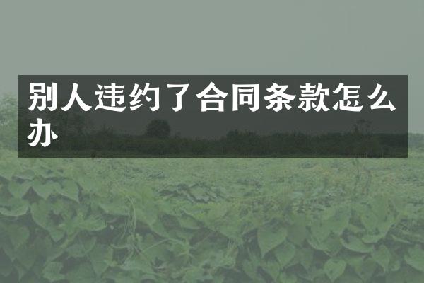 别人违约了合同条款怎么办