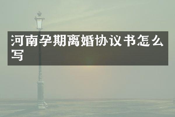 河南孕期离婚协议书怎么写