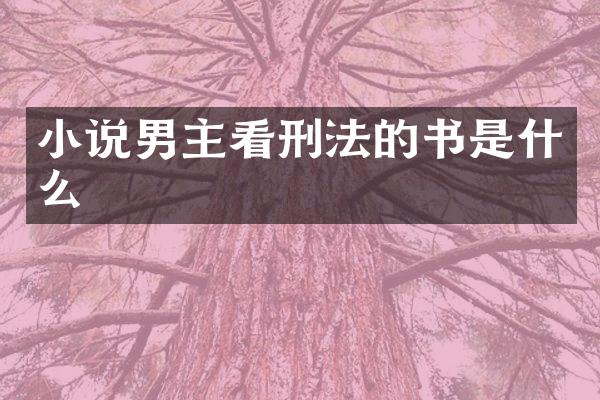 小说男主看刑法的书是什么
