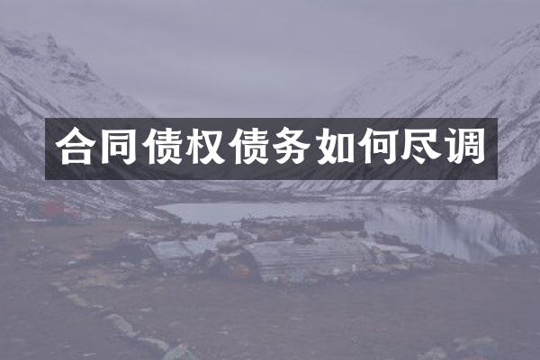 合同债权债务如何尽调