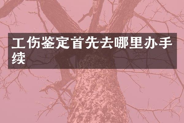工伤鉴定首先去哪里办手续