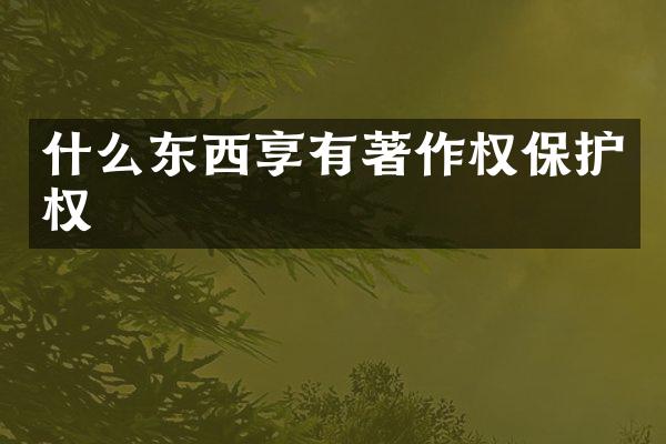 什么东西享有著作权保护权