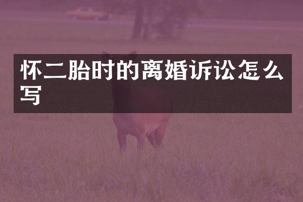 怀二胎时的离婚诉讼怎么写