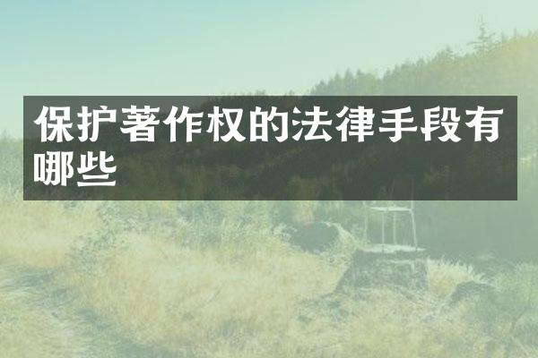 保护著作权的法律手段有哪些