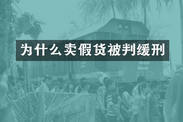 为什么卖假货被判缓刑