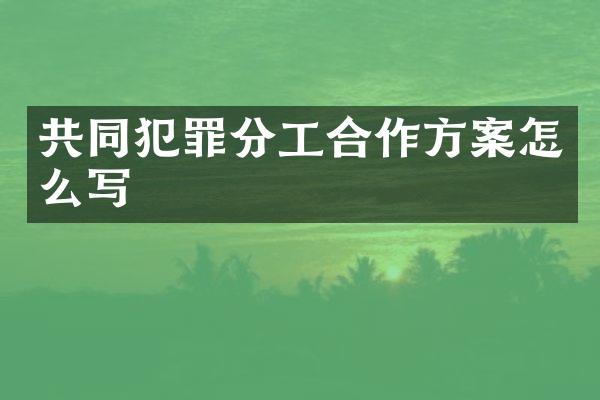 共同犯罪分工合作方案怎么写