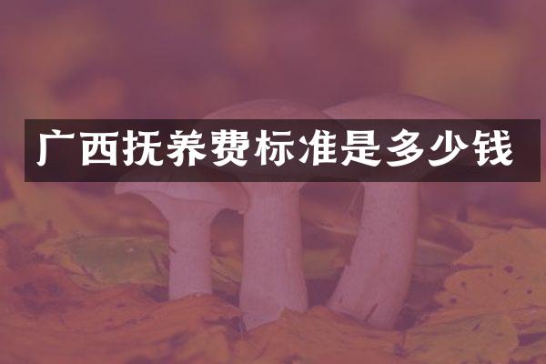 广西抚养费标准是多少钱