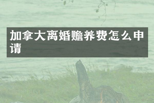 加拿大离婚赡养费怎么申请
