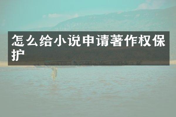 怎么给小说申请著作权保护
