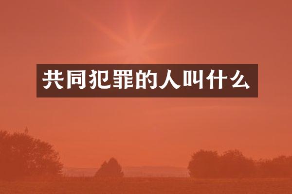 共同犯罪的人叫什么