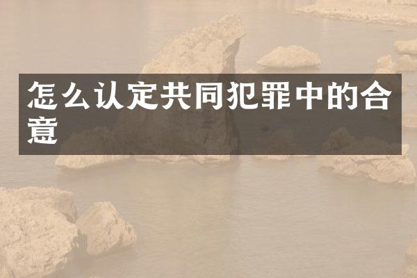 怎么认定共同犯罪中的合意