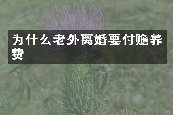为什么老外离婚要付赡养费