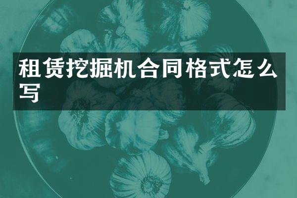 租赁挖掘机合同格式怎么写