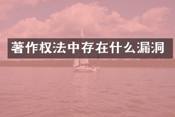 著作权法中存在什么漏洞