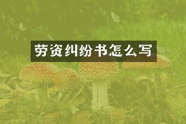 劳资纠纷书怎么写